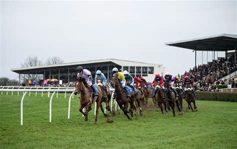 tips for wincanton today